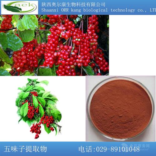 陜西奧爾康生物 工廠現(xiàn)貨熱銷五味子提取物 全國(guó)包郵現(xiàn)貨
