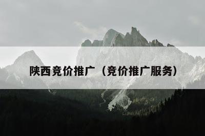 陜西競價推廣(競價推廣服務)