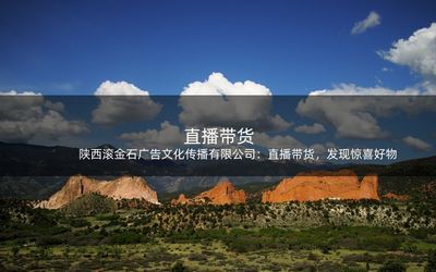 陜西滾金石廣告文化傳播:直播帶貨,發(fā)現驚喜好物