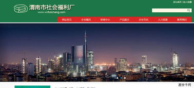 陜西省渭南市社會(huì)福利廠官方網(wǎng)站開通運(yùn)行