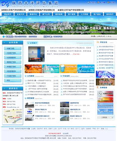 陜西大洋評估集團 萬企互聯(lián) 專業(yè)提供網(wǎng)站建設 網(wǎng)站推廣 微信營銷 小程序 域名注冊 虛擬主機 云服務器等業(yè)務